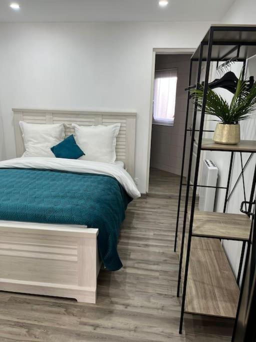 Colmar,Appart Chaleureux 2 Pas Centre Avec Jardin 외부 사진