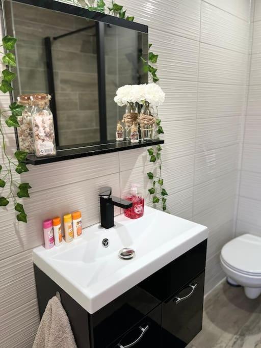 Colmar,Appart Chaleureux 2 Pas Centre Avec Jardin 외부 사진